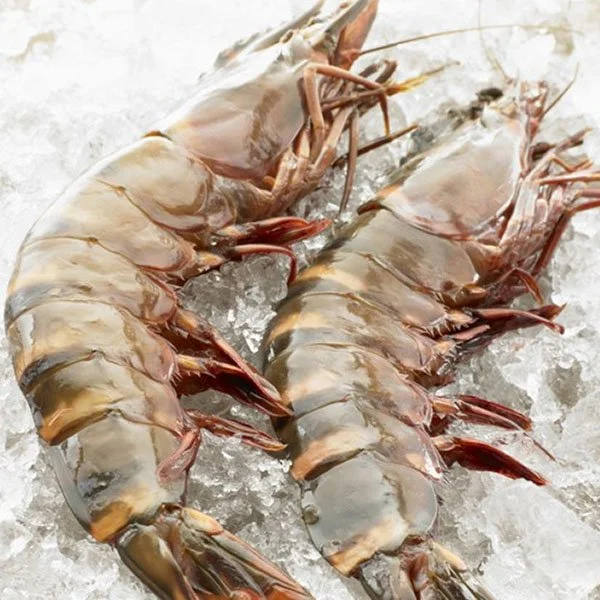 Extra large black tiger prawns, sent live frozen.