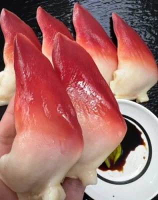 Click to view full screen Extra Large Sashimi-Grade Arctic Surf Clam photo review