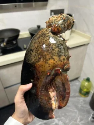 Click to view full screen LIMITED EDITION: Giant Deep-Sea Lobster Pincers 🔥 Hurry up! photo review